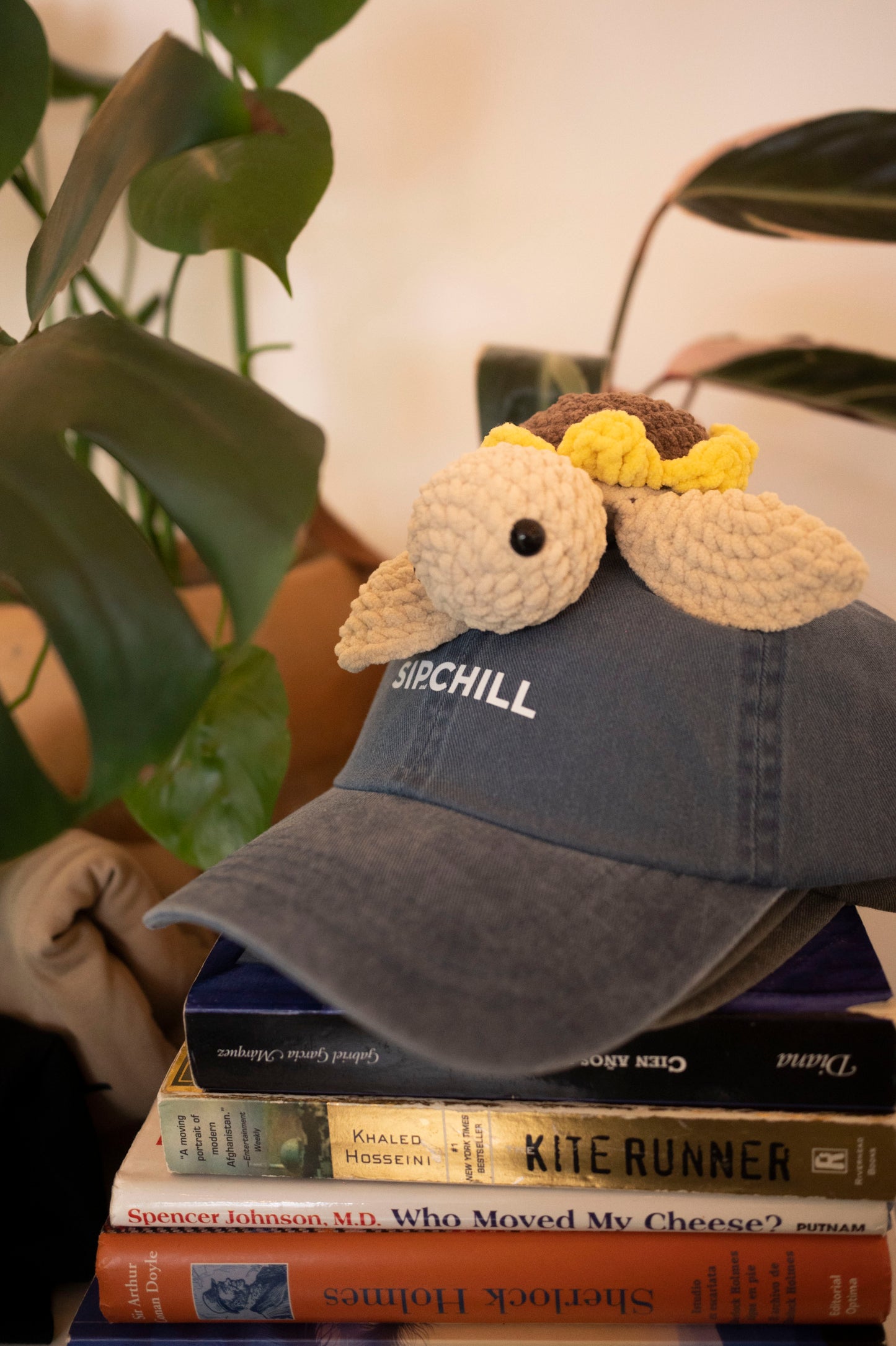 Gorras Sip and Chill